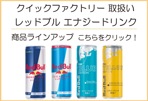 レッドブル（RedBull） エナジードリンク 250ml ×72本 (24本入×3ケース