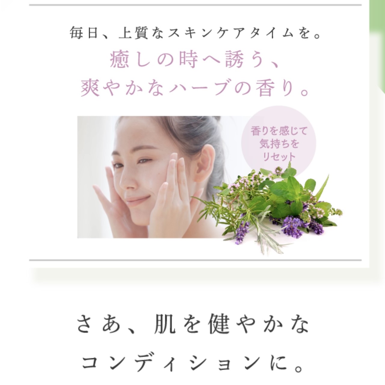エニシーグリーンのグローパック 6個入（炭酸ガスパック）正規品 エニ