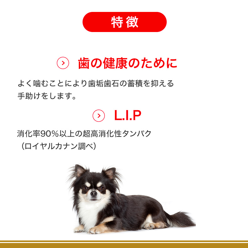 ロイヤルカナン（ROYAL CANIN） チワワ 成犬用 3kg / チワワ 成犬用