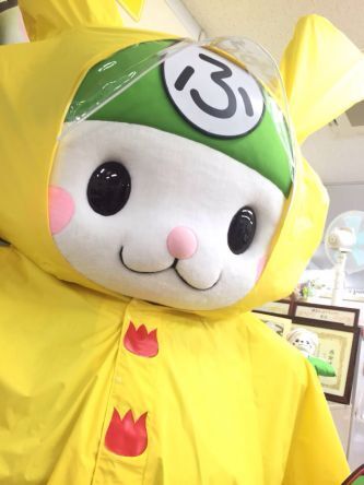 ふっかちゃん“カッパ”完成しました！！ - CAMPFIRE (キャンプファイヤー)