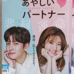 あやしいパートナー DVD 韓国ドラマ 全巻 チ・チャンウク ナム
