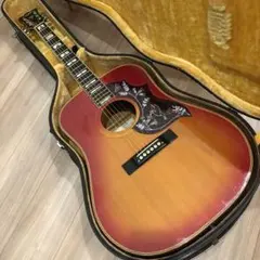 2026年最新】tokai humming birdの人気アイテム - メルカリ