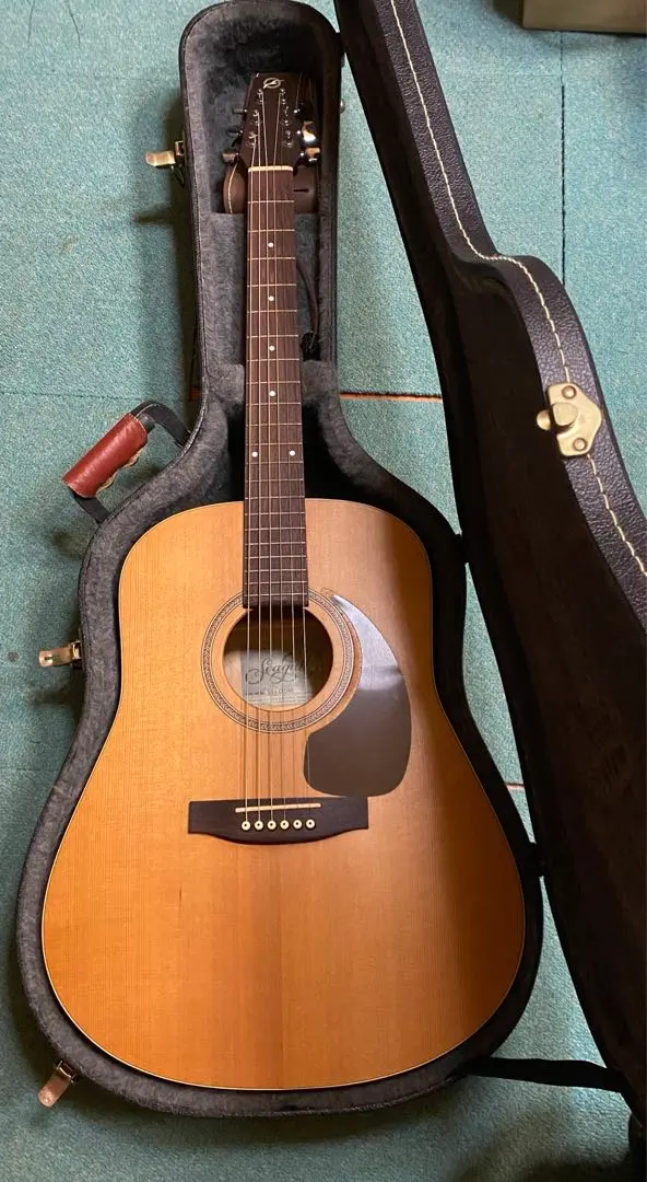 2026年最新】seagull s6の人気アイテム - メルカリ
