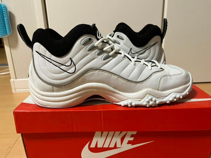 NIKE エアズームフライト5 air zoom flight ⅴ ナイキ - メルカリ