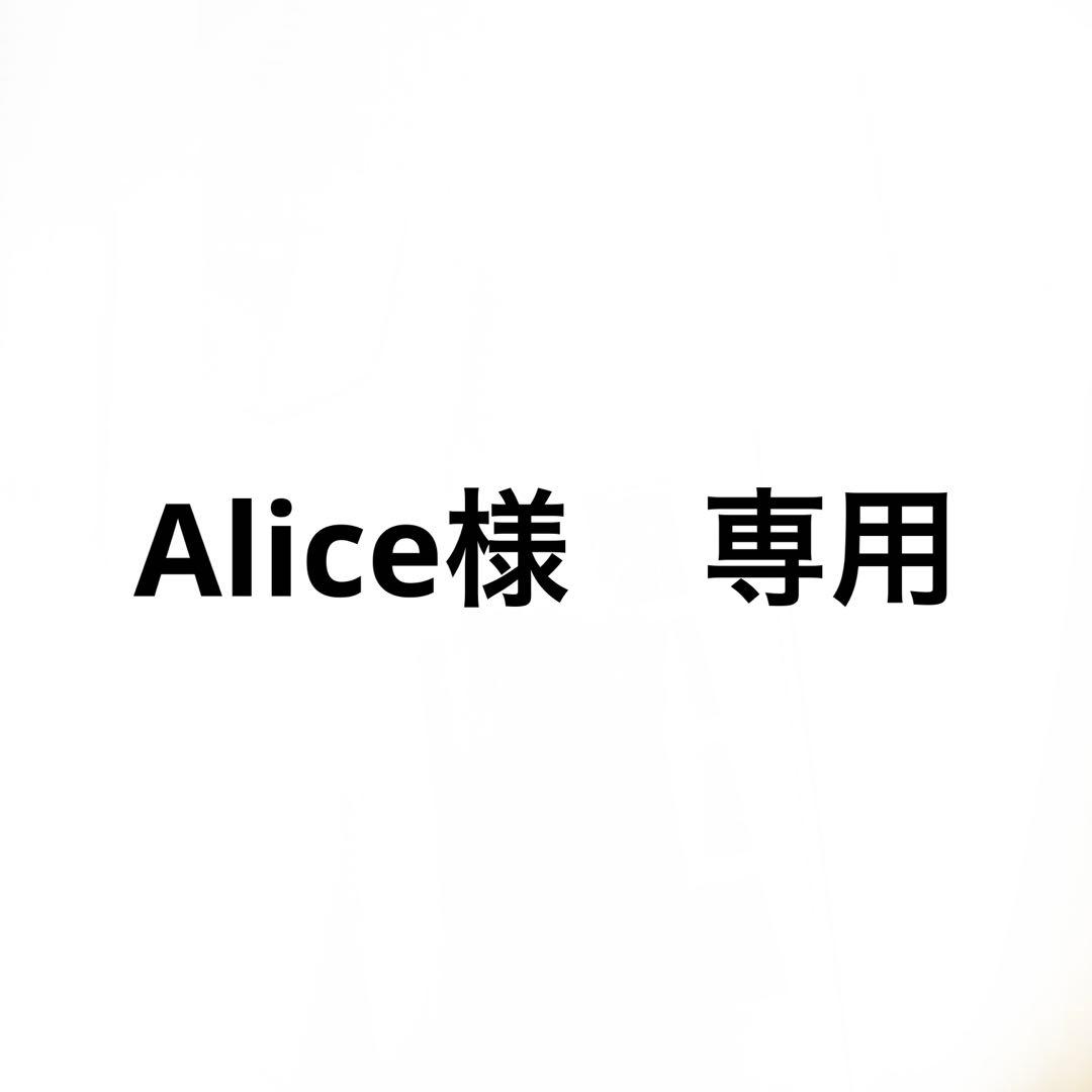 Alice様 専用 - メルカリ