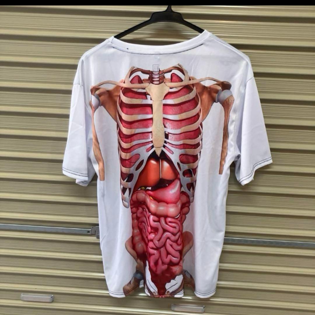 人体模型柄Tシャツ 解剖図 内臓系 骨 スカル 白 ホワイト 1XL 個性的