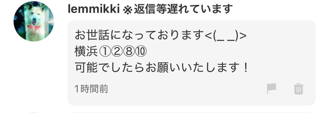 lemmikki 様